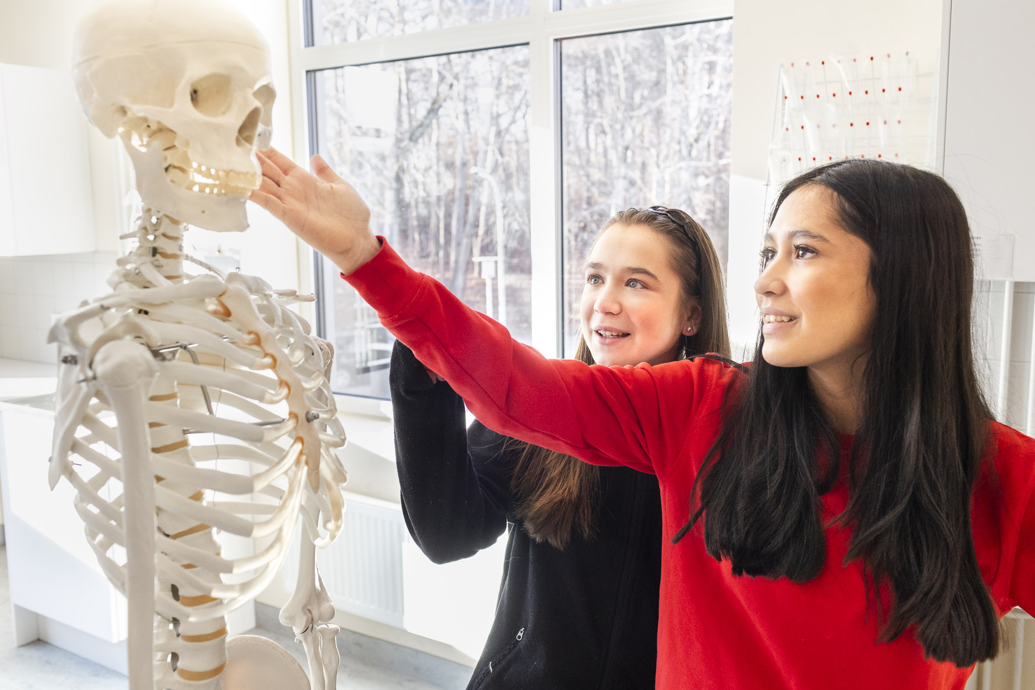 2 elever som tittar på ett skelett i ett klassrum